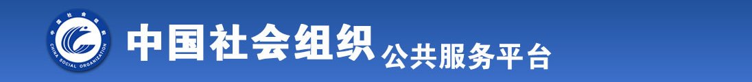 就要操干全国社会组织信息查询